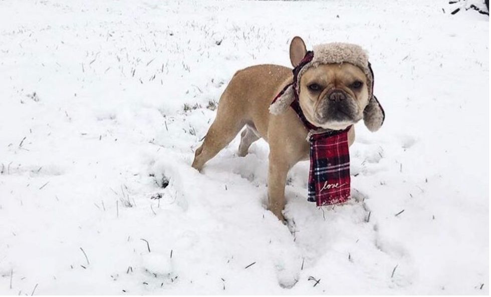 15 Thoughts You Have About Winter AFTER Christmas