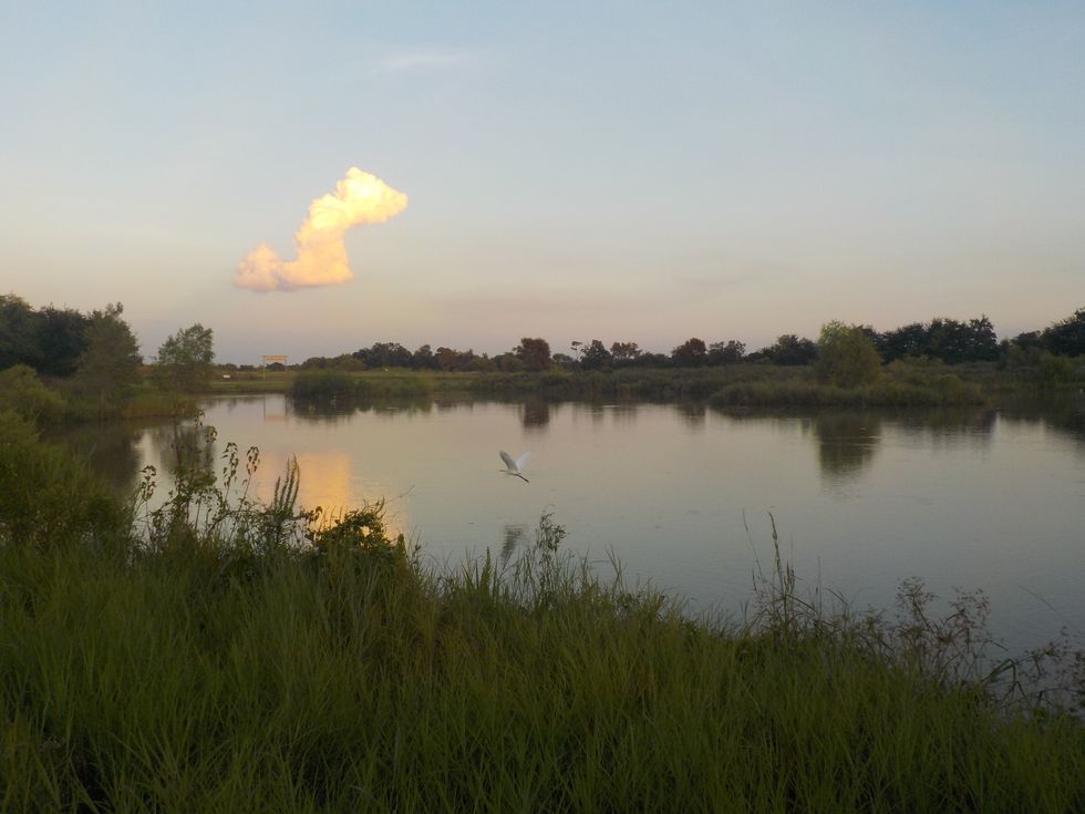 Five Things I Miss About Living In Texas