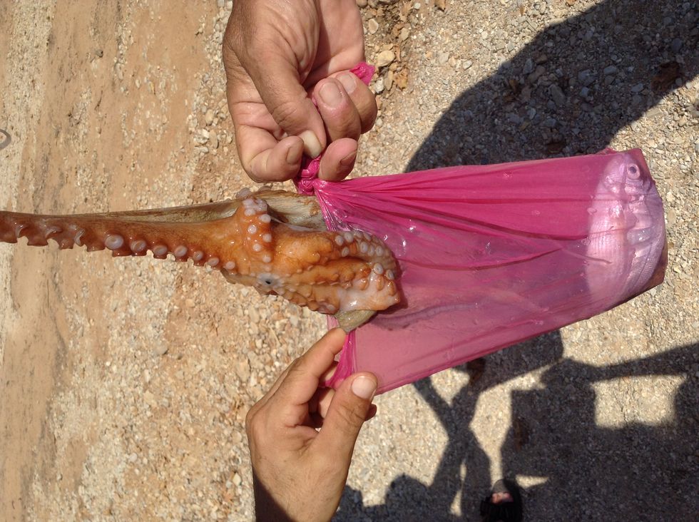 Elixir To A Less Traveled Place.