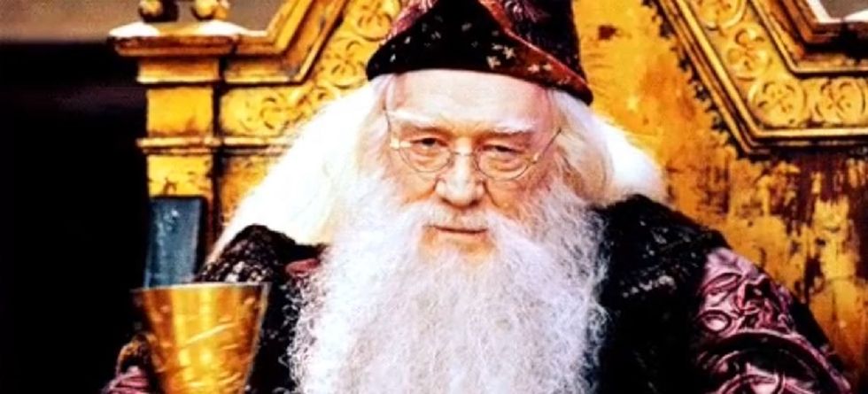 22 Times Albus Dumbledore Dropped The Mic
