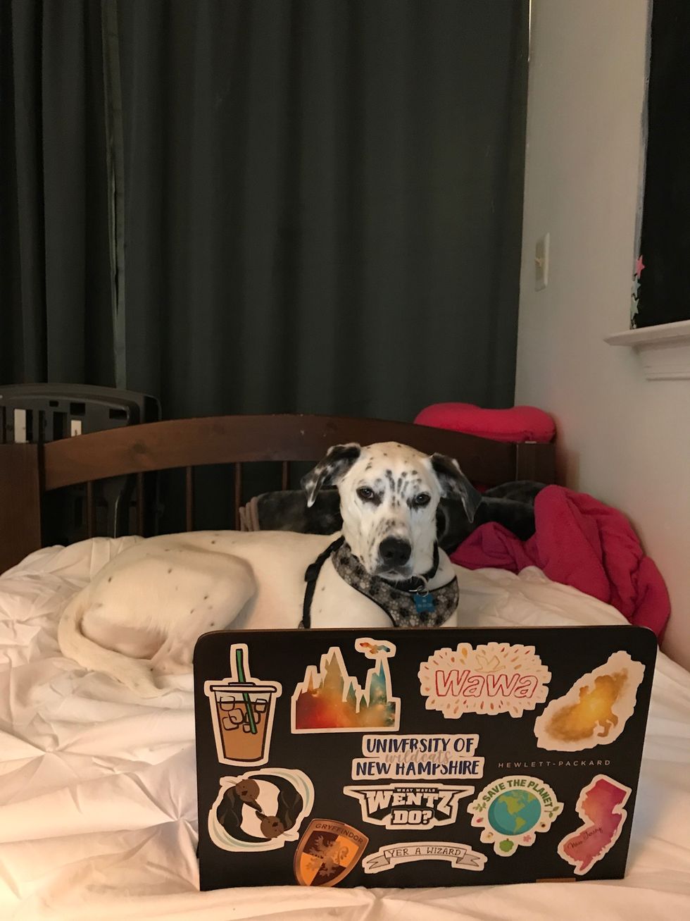 The Real Motivation You Need For Spring Semester