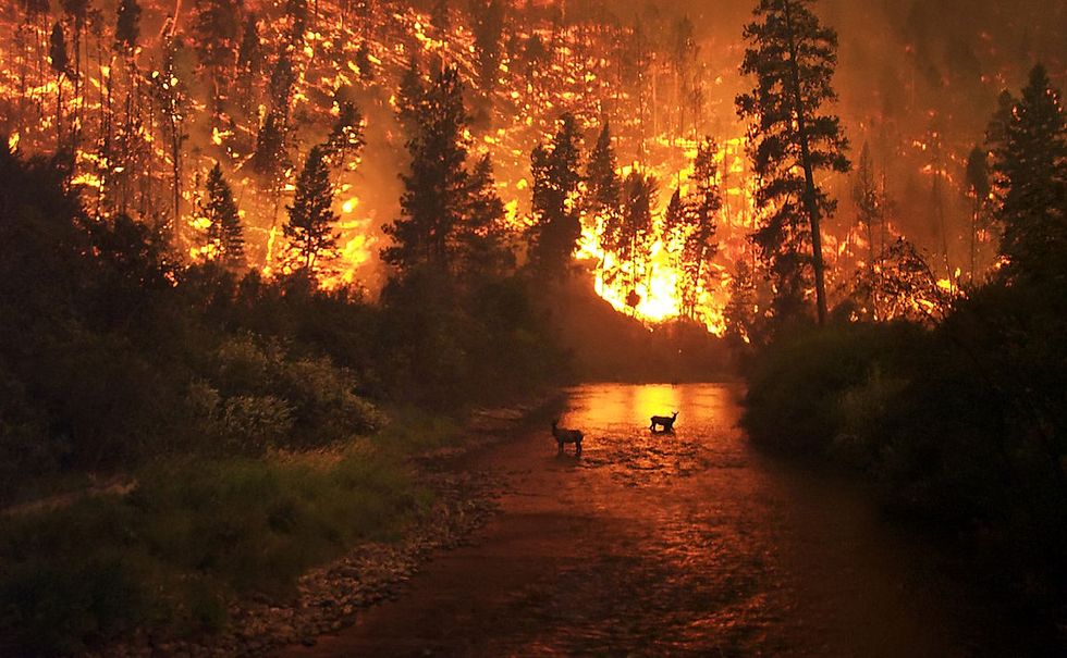 Yes, Wildfires Are Your Problem Even If They Don't Effect You