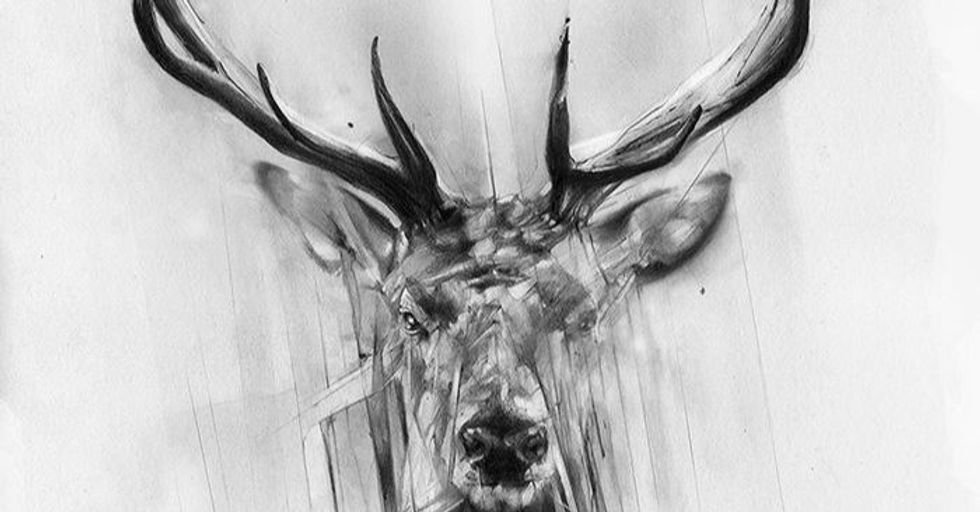 Mrs. Powercouples' Failed Attempt to Mother Nature