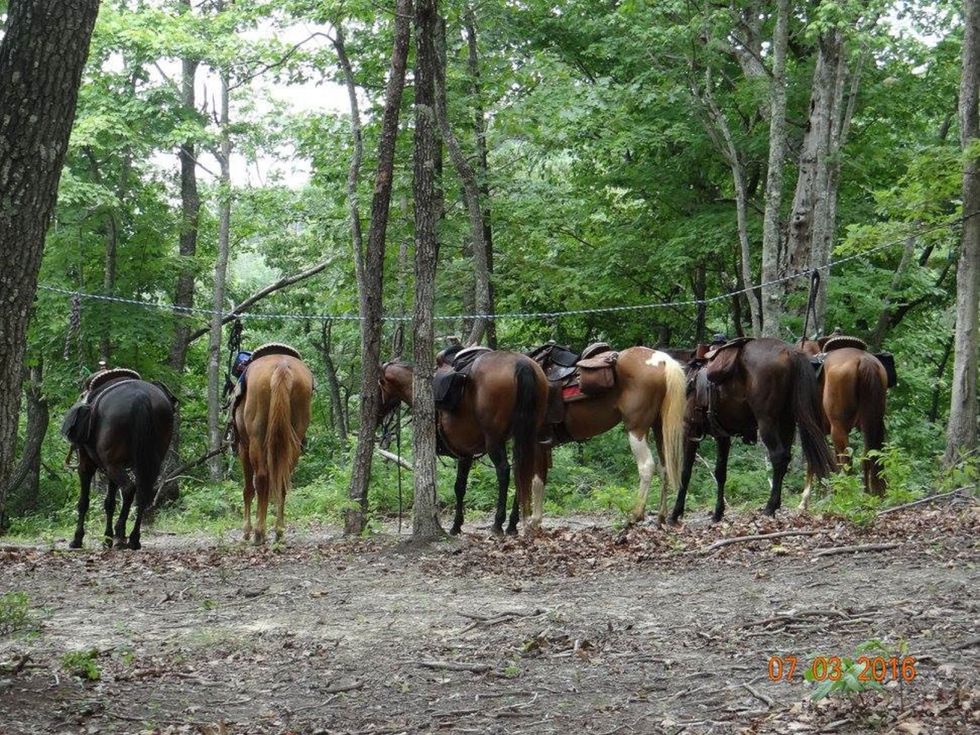 10 Different Places To Take A Horse Riding Vacation