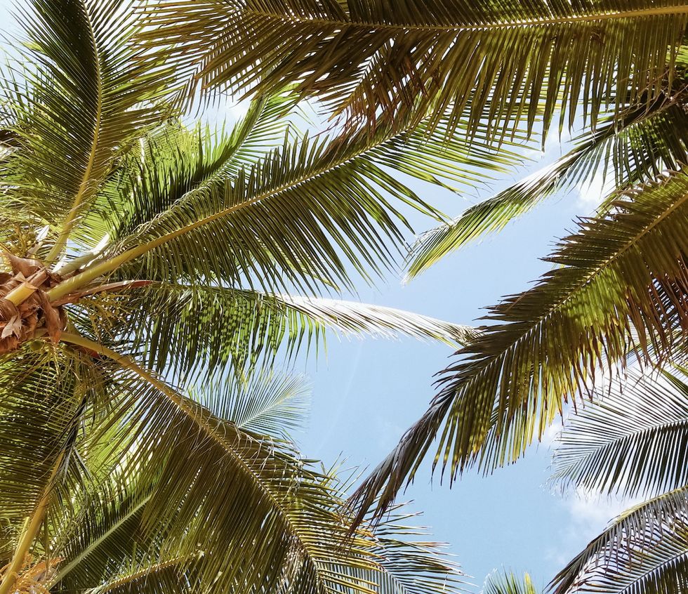 If You Want The Most Relaxing Weekend Getaway From NYC, Go To Tulum, Mexico