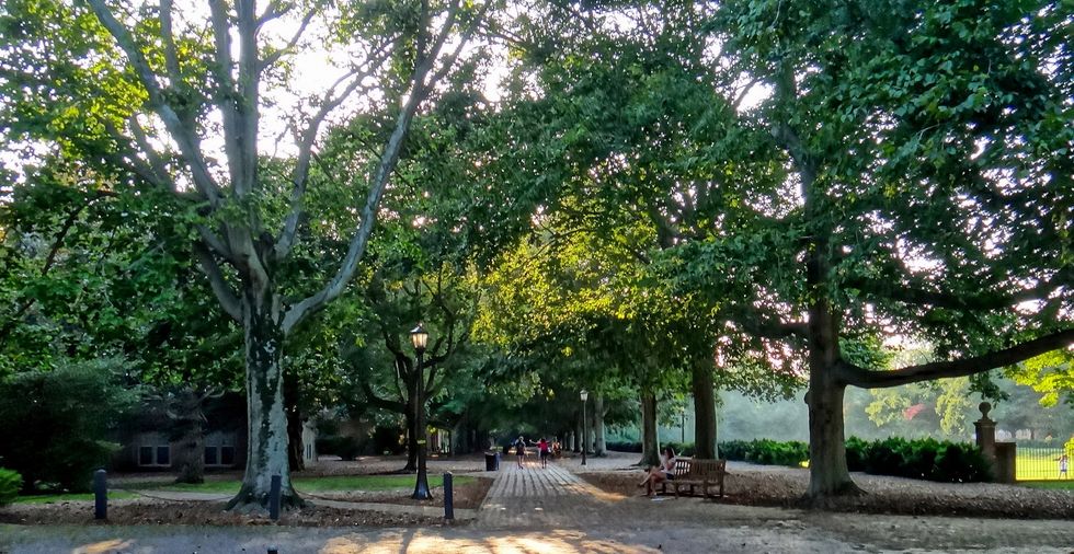 A New Yorker’s Perspective On Moving To Virginia