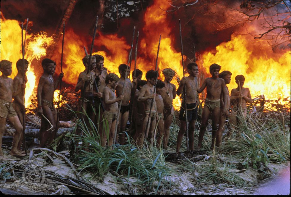 I'm A Feminist Who Doesn't Support An All-Female 'Lord of the Flies' Remake