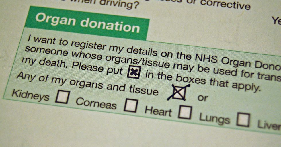 Learning To Save A Life After My Dad Died