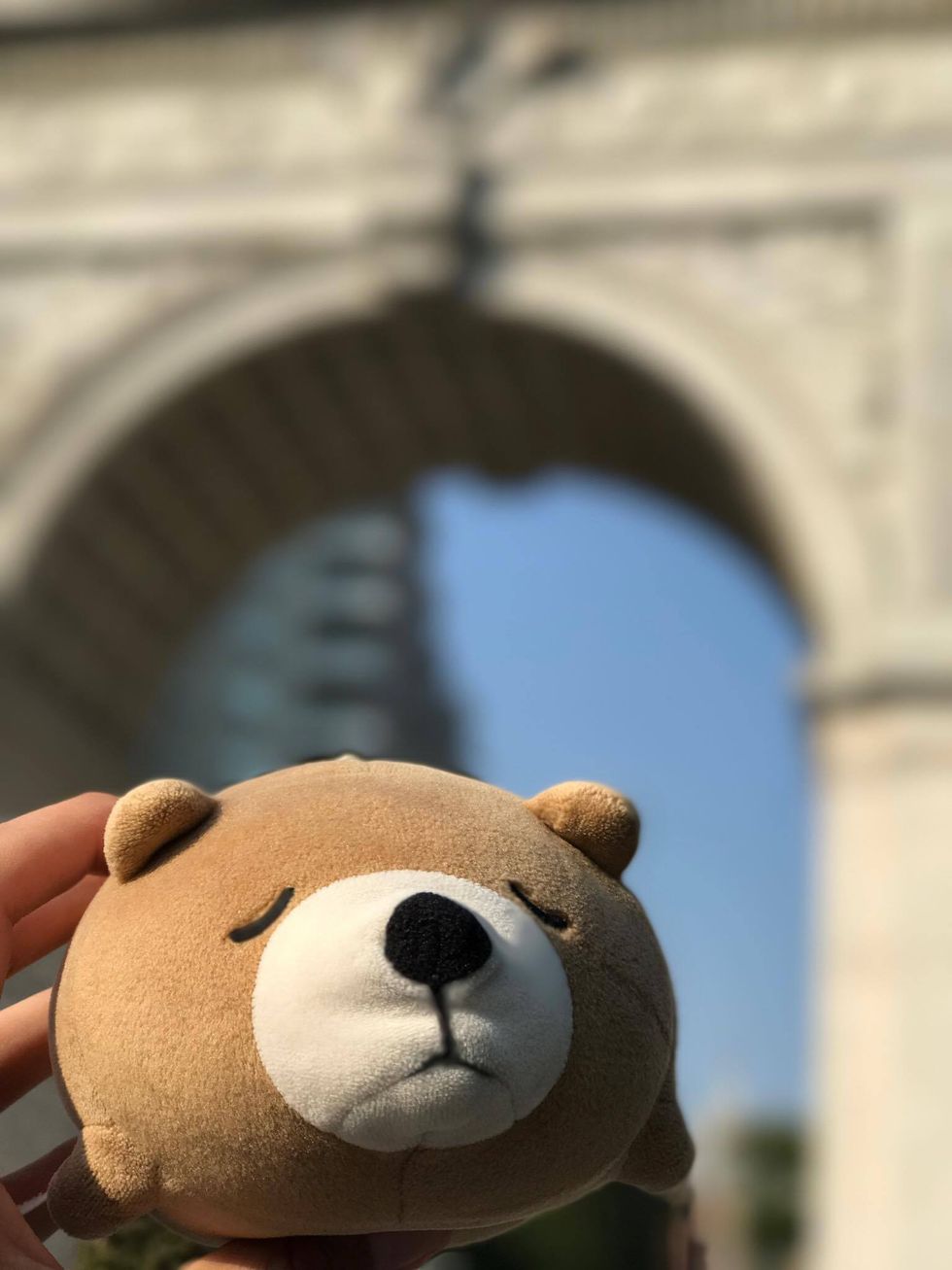 Maintaining Long Distance Friendships