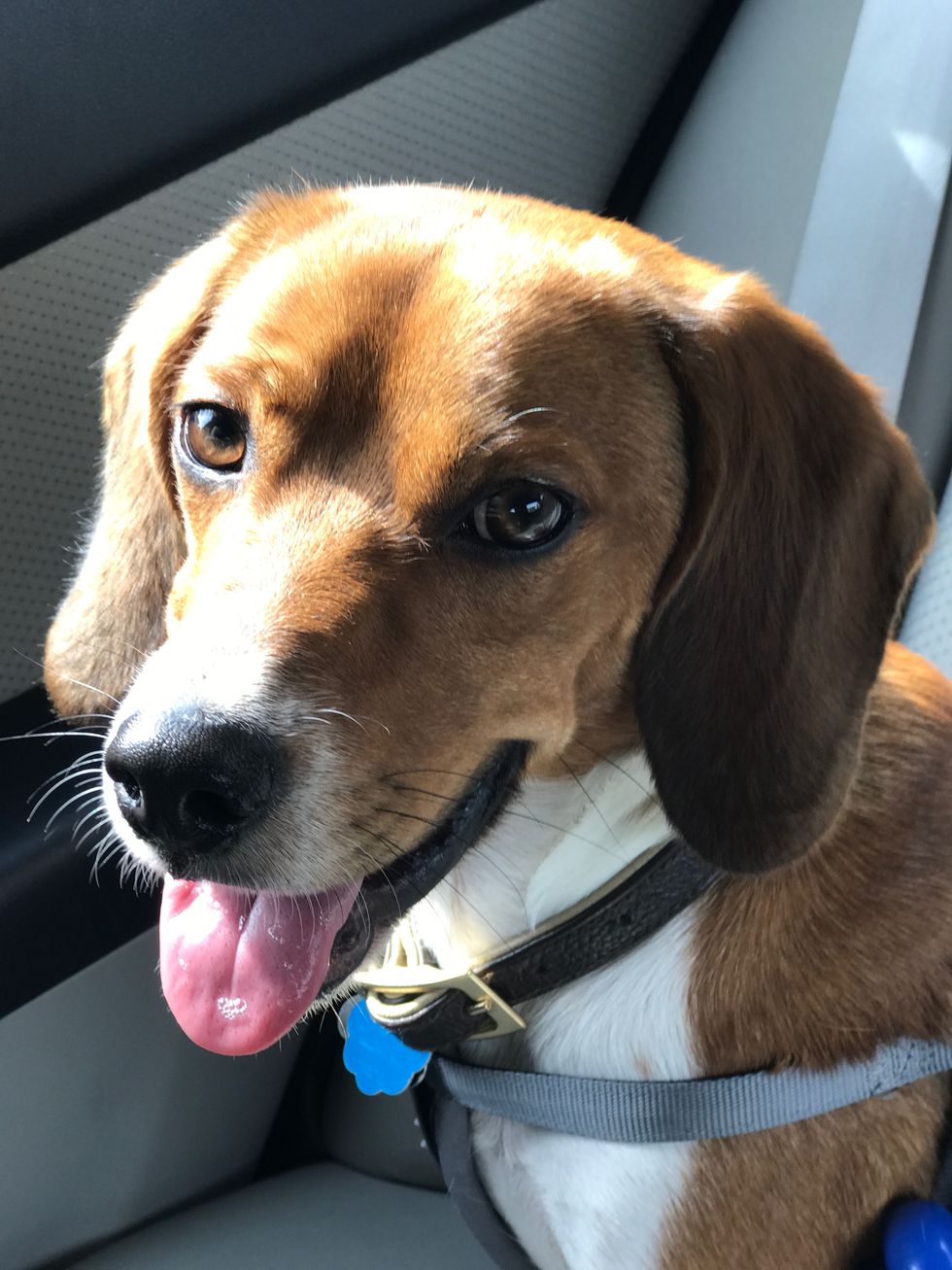 Finally: The Secret to Fearlessness