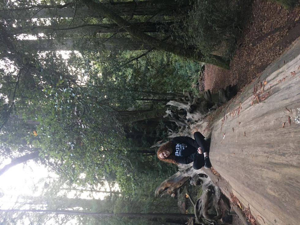 A Collection Of Poems