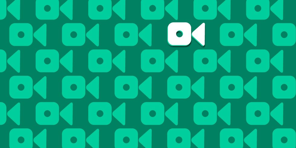 12 Vines It's Impossible To Live Without