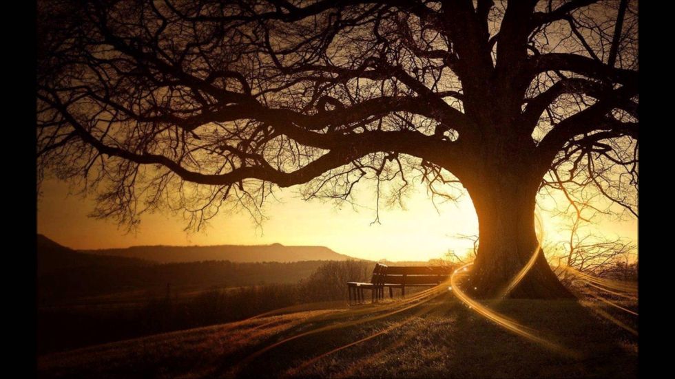 Reflections On A Peaceful Winter Break