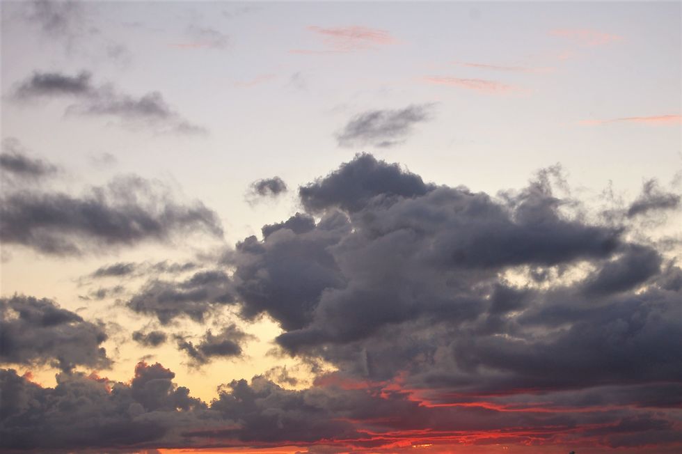 Poetry On Odyssey: Exuberance And Clarity