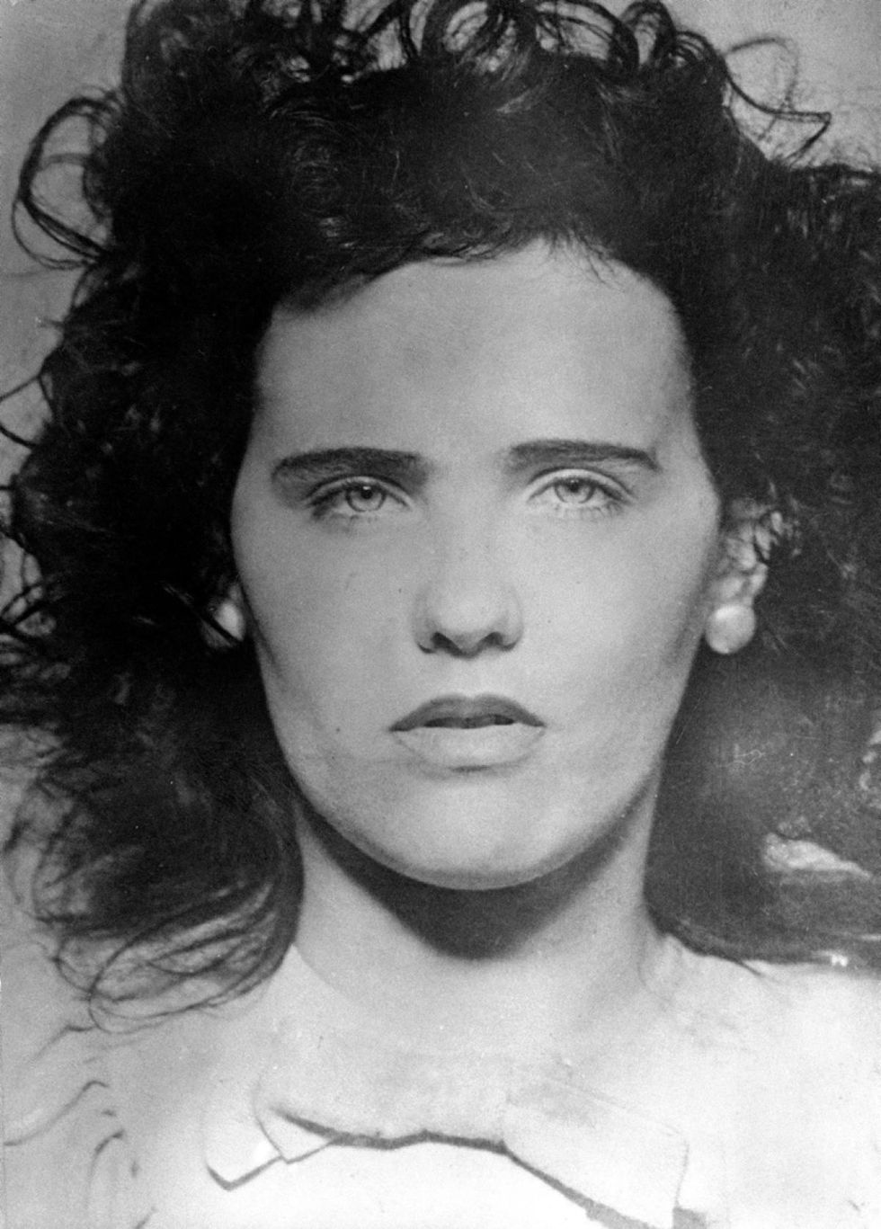 What Happened to the Black Dahlia?