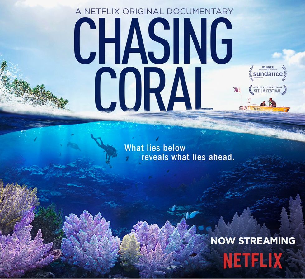 Chasing Coral and Saving the World