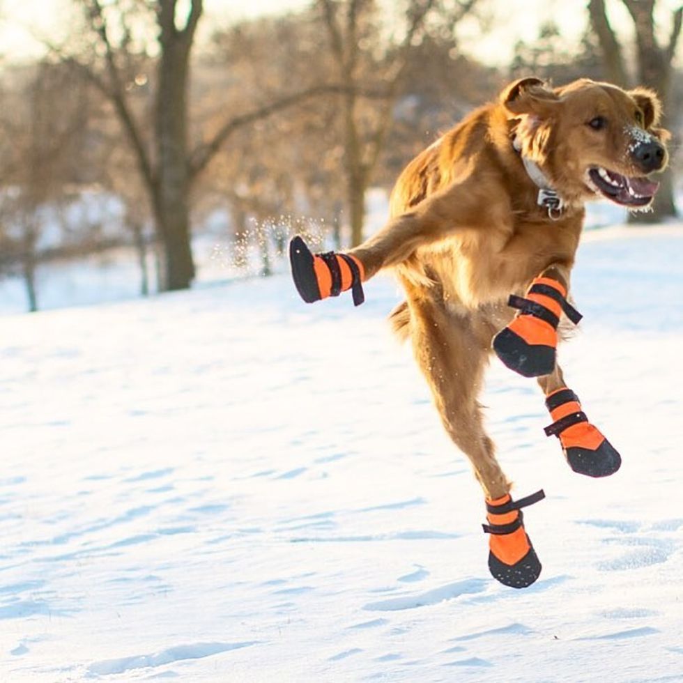 7 Fun Activities For Any Broke Minnesotan In The Winter