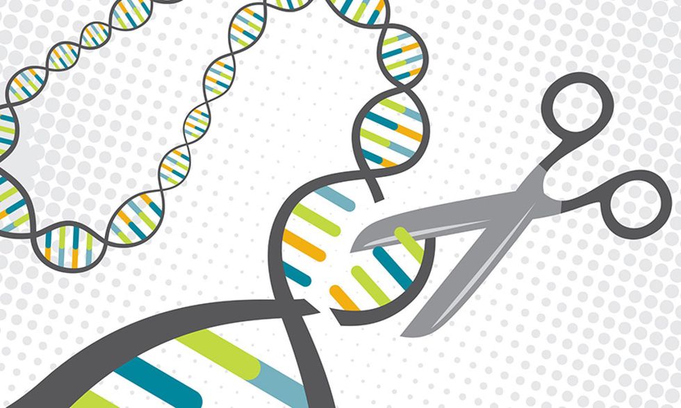 What Is CRISPR?