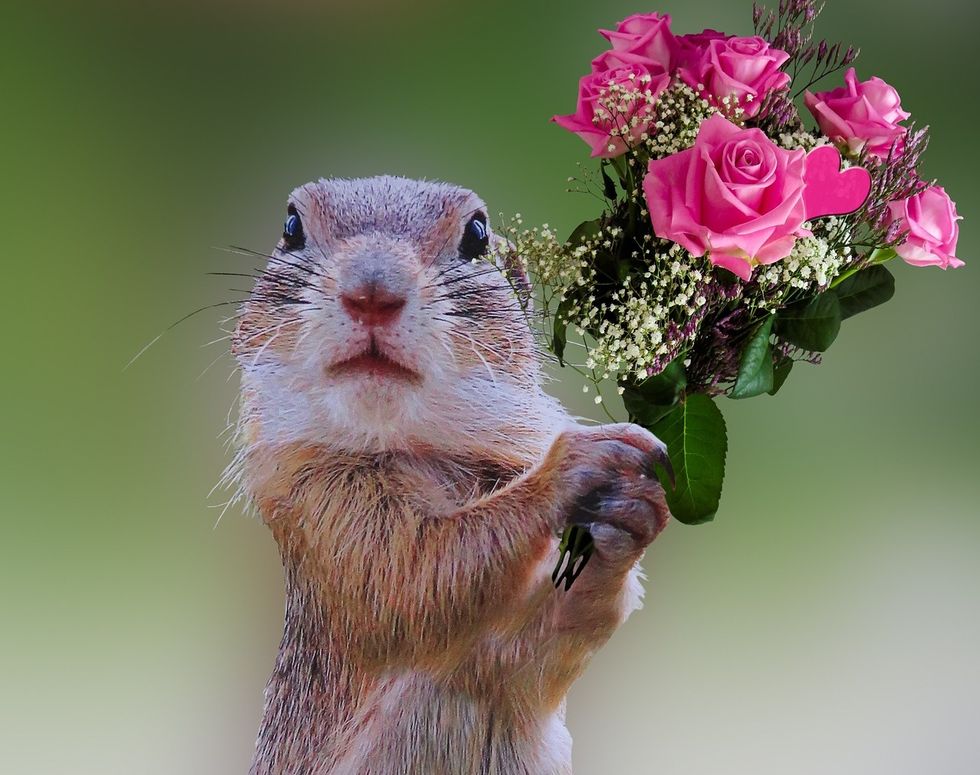 I Stopped Apologizing And Here's Why