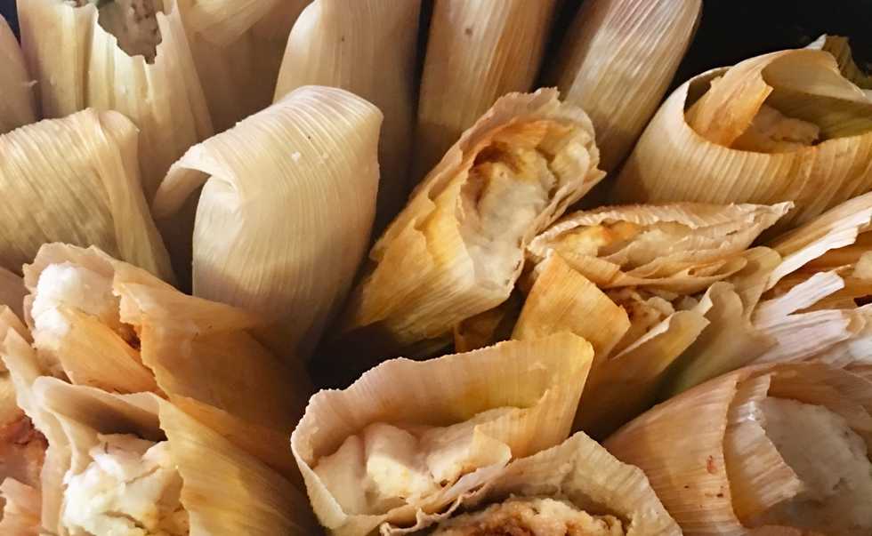 If College Majors Were Tamales, And Yes, There Are Different Types Of Tamales