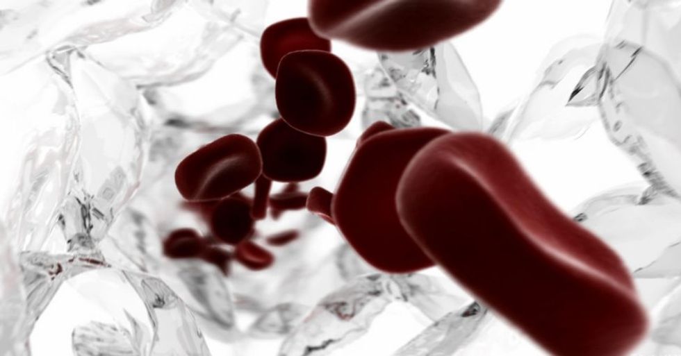 Vaccine or Zombie Apocalypse Starter Pack