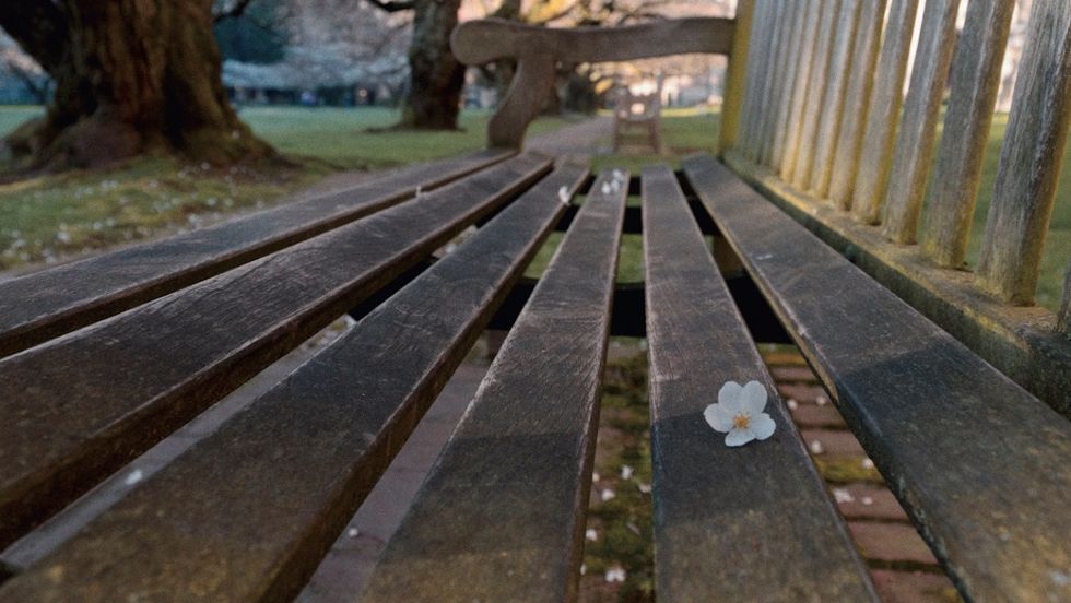 Discovering The Power of Vulnerability As A College Student