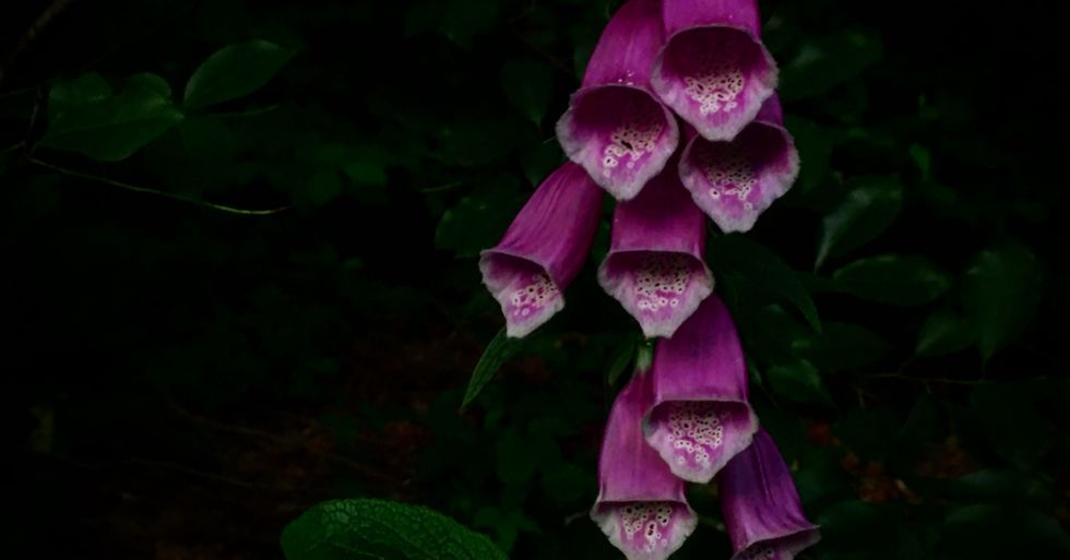 5 Things Girls Who've Never Had A Real Relationship Need to Know