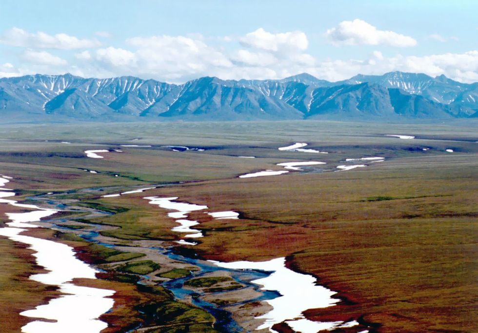 The Balance Of Profit And Ethics In The ANWR Debate