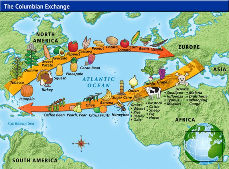 The Columbian Exchange: When Old World Meets New