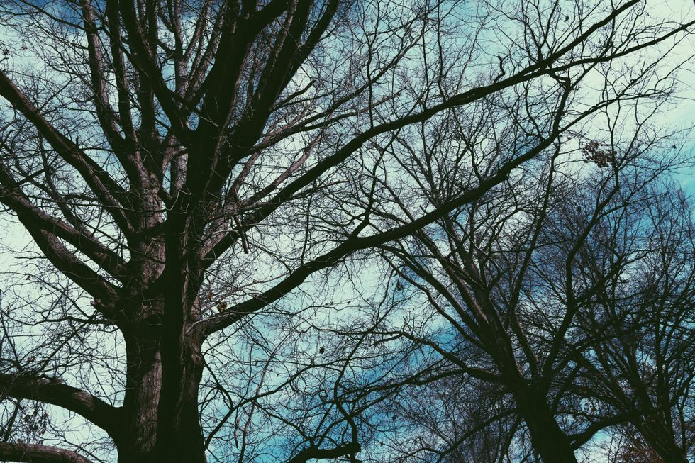 Why Don't We Ask Questions?