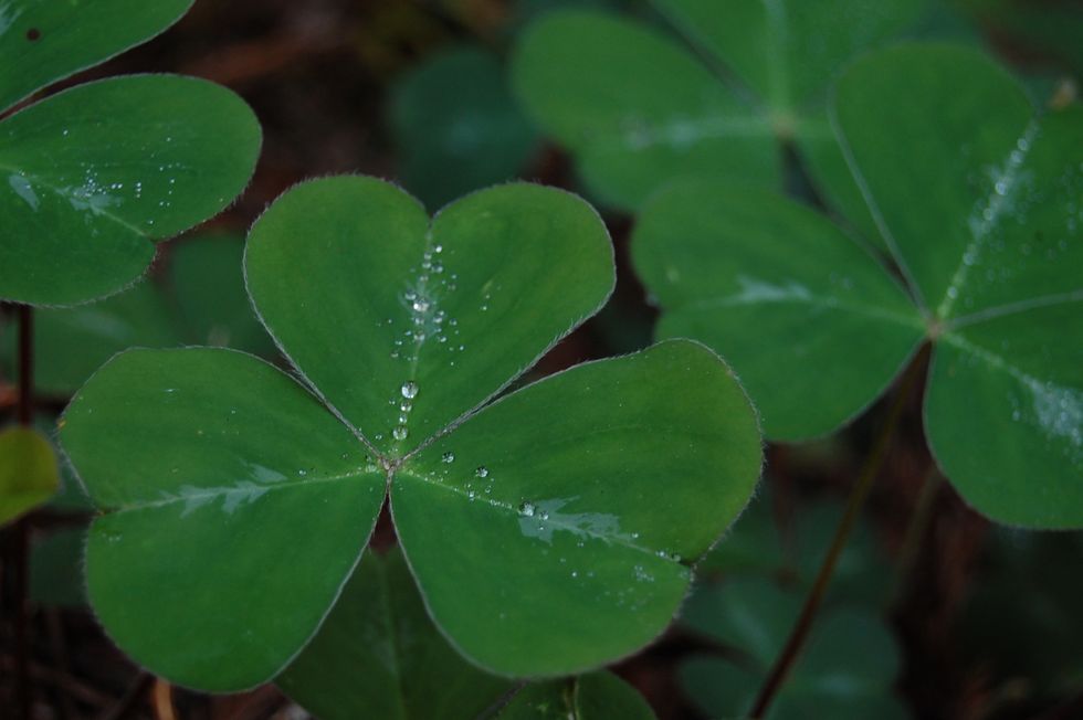 7 Superstitions That Are Actually Good Luck