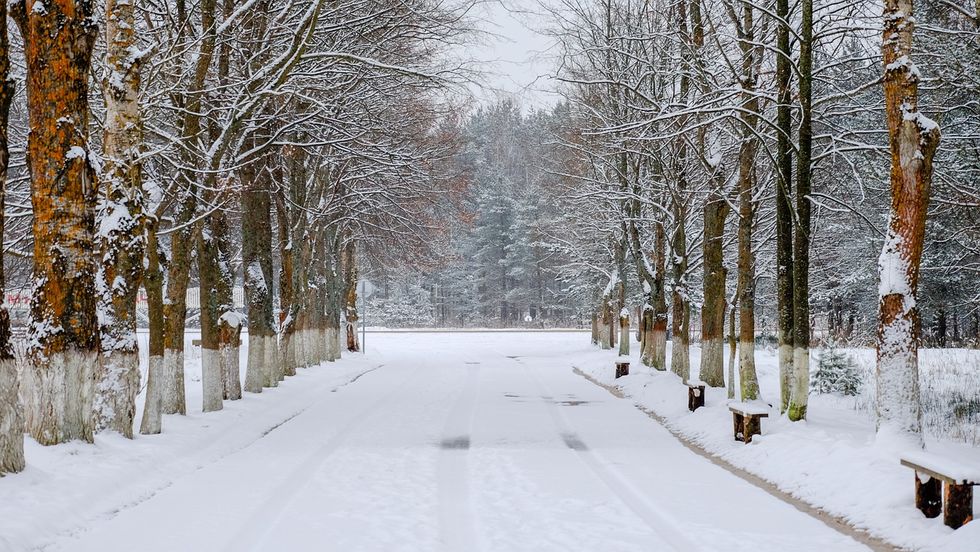 Snow Go Away: Strategies To Survive The Winter Blues