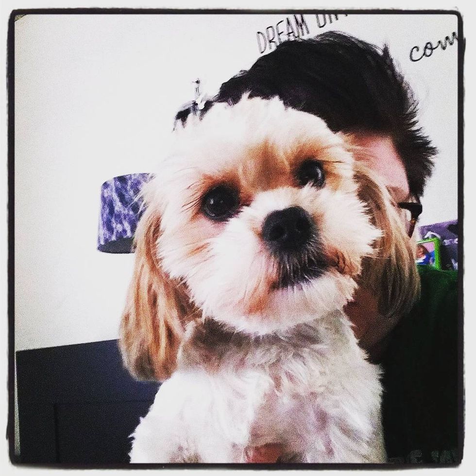 My Service Dog and Our Story