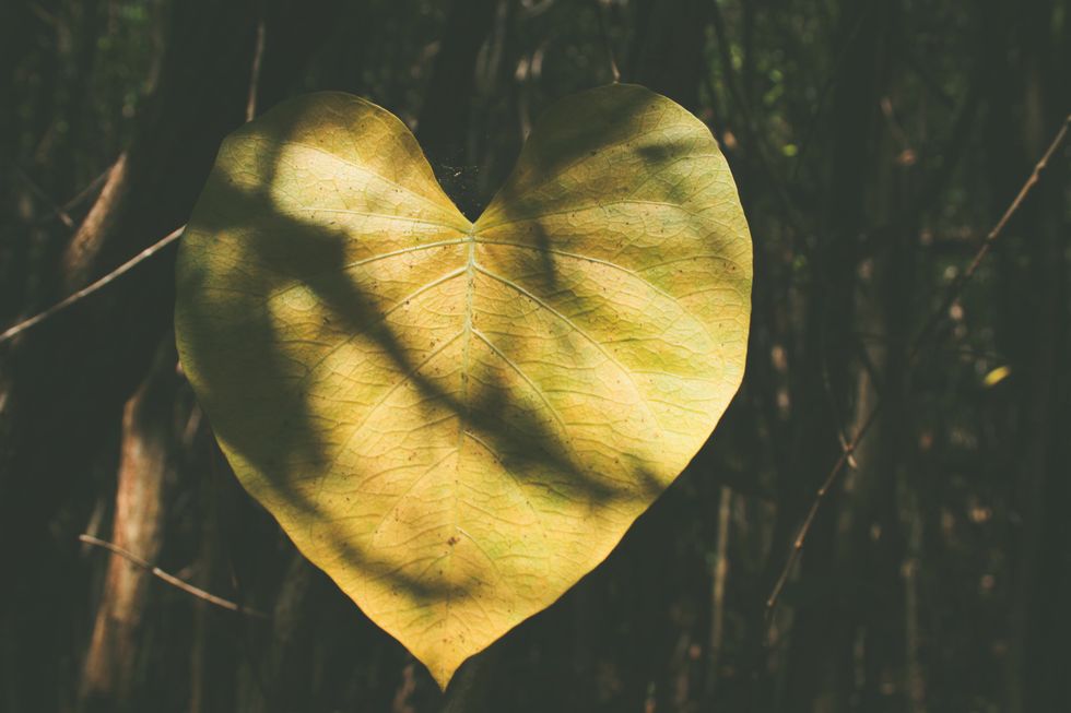 5 Ways To Be Your Valentine's Eco-Valentine Instead