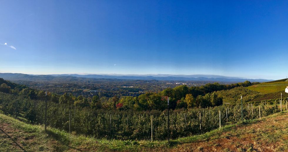 Fun Facts About Charlottesville, Virginia