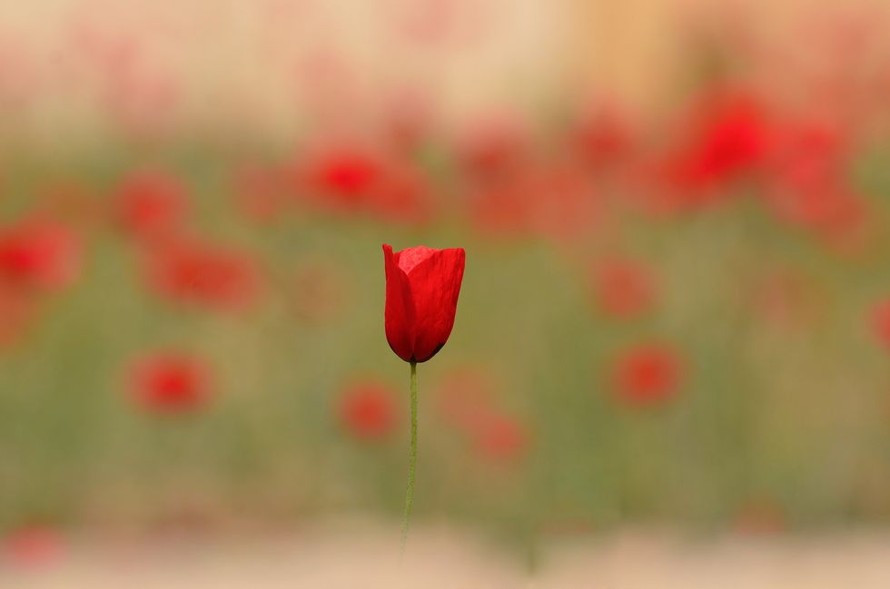 What I’ve Learned about Growing Up