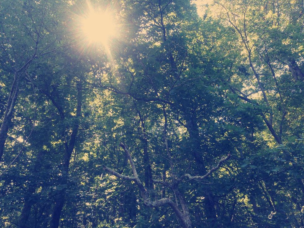 9 Small Ways To Be Greener At College