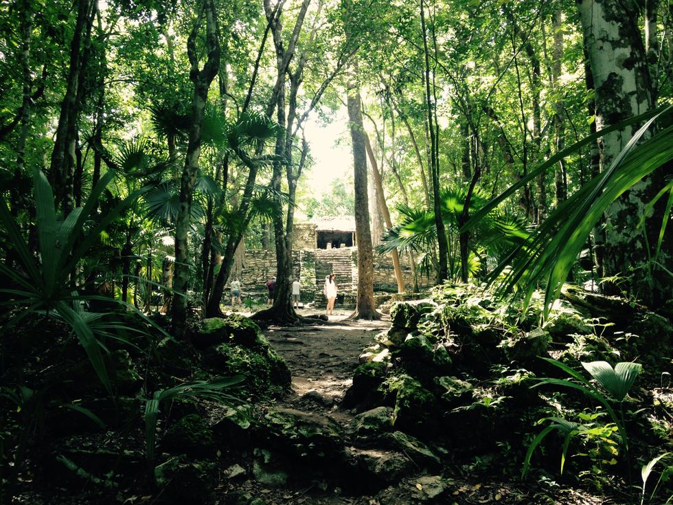 From Crystal Blue Waters, Historical Sites, And Jungle Adventures Tulum Has It All