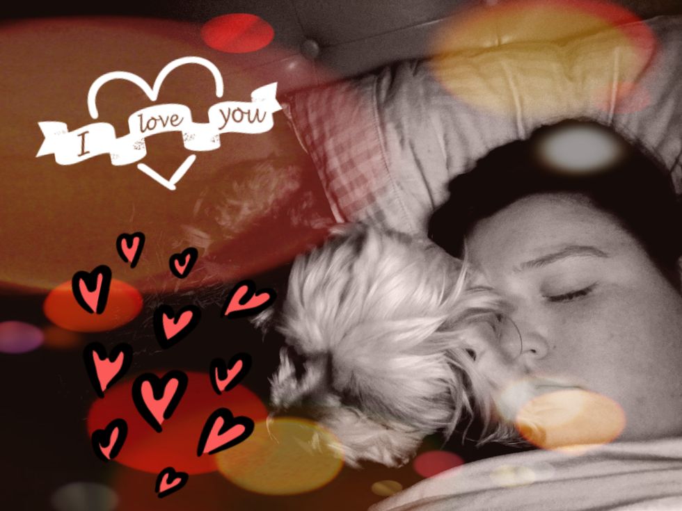 Does Having A Pet Make You Feel Better Quicker?