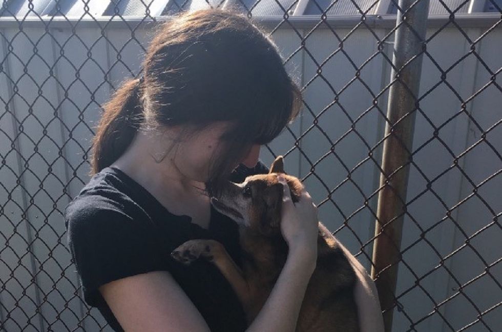 What No One Tells You About Losing A Dog