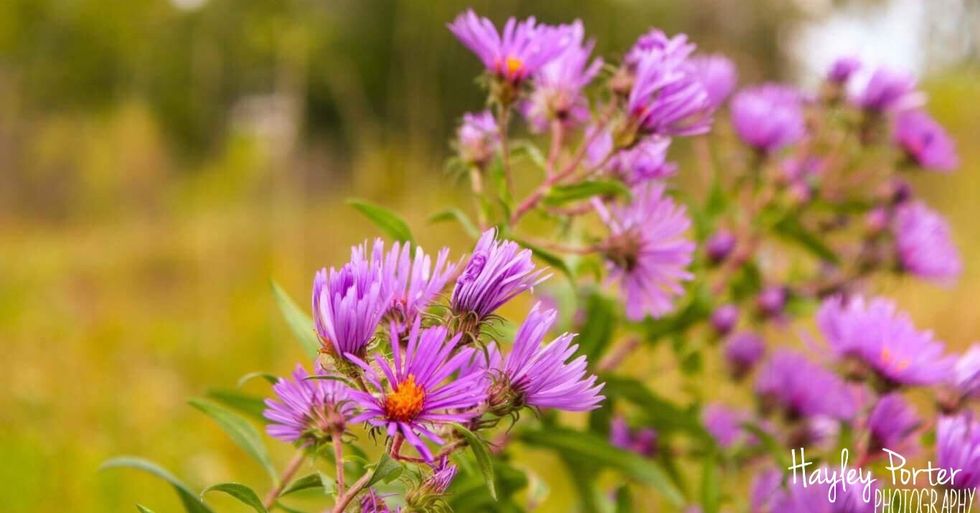 I don’t have my future plans set yet, and that’s okay