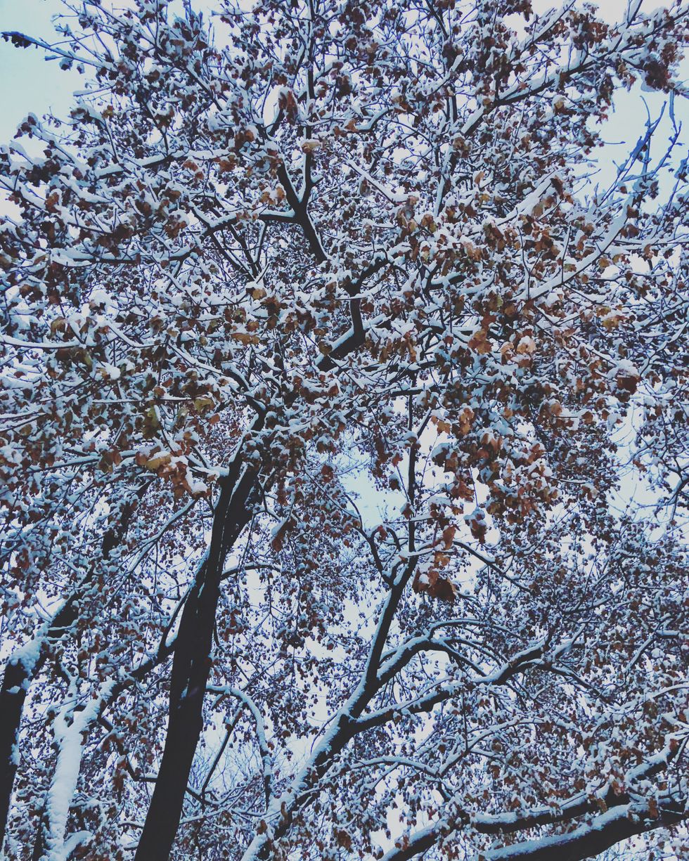 Senior Year Themed Quotes