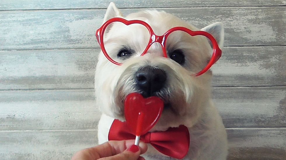 You Can Be Single And Still Have An Amazing Valentine's Day