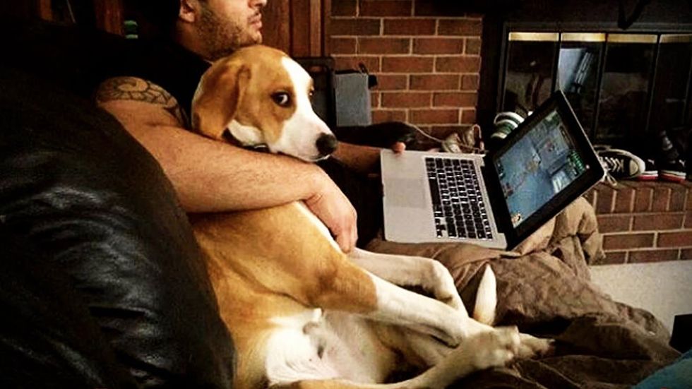 12 Things You Know To Be True If Your Dog Thinks Your World Revolves Around Them, And They're Right