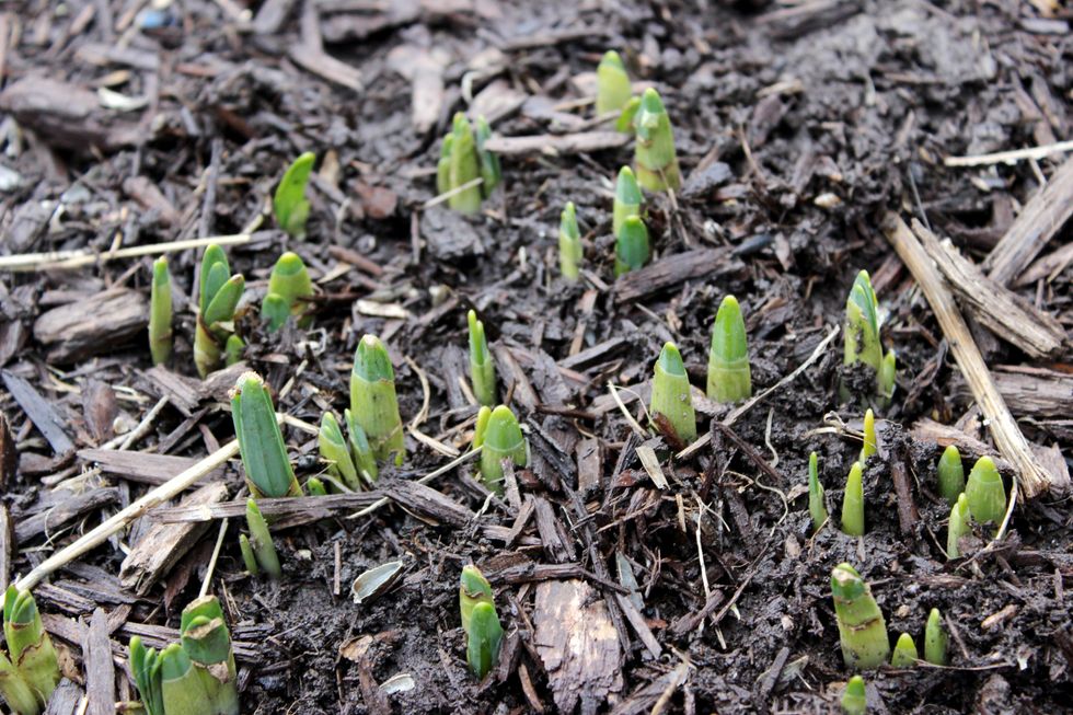 Thoughts on Hope: Believing in the Best is Yet to Come