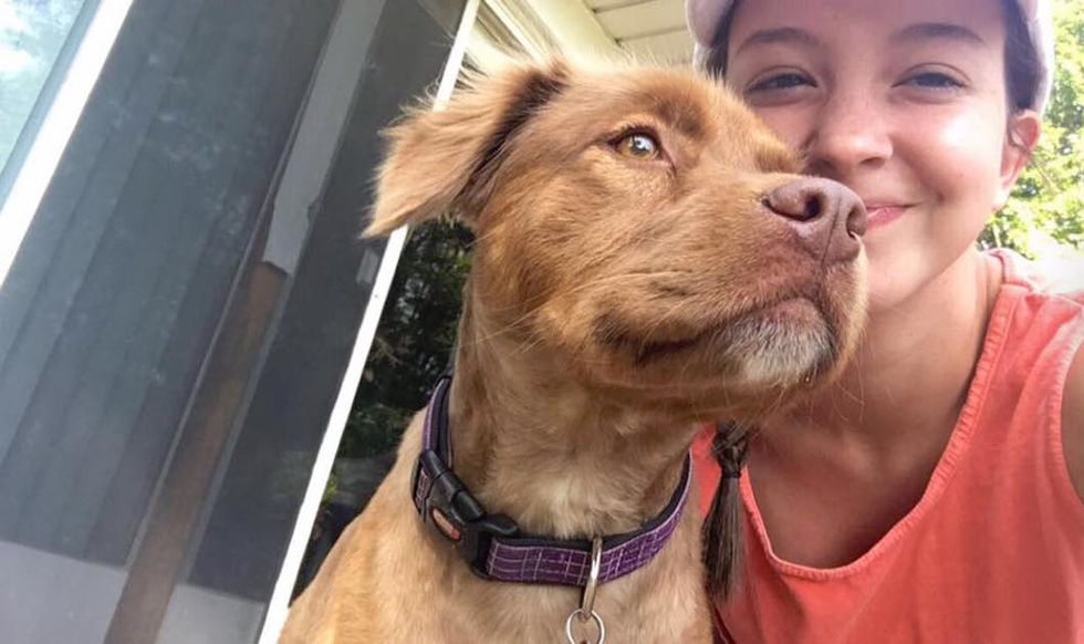 What It's Like To Miss Your Dogs In College