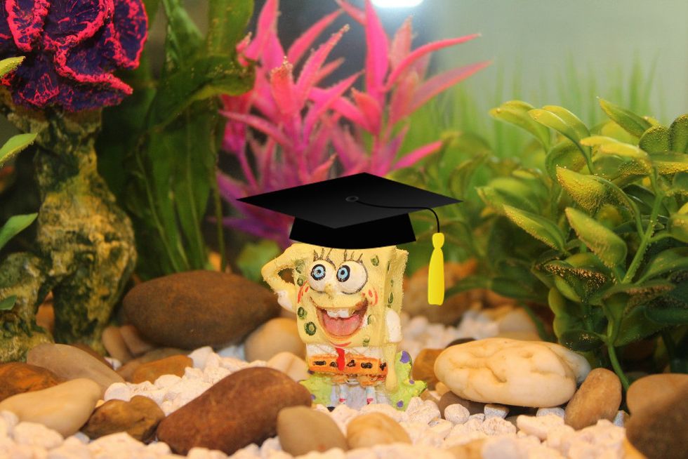 College As Told By Spongebob Squarepants