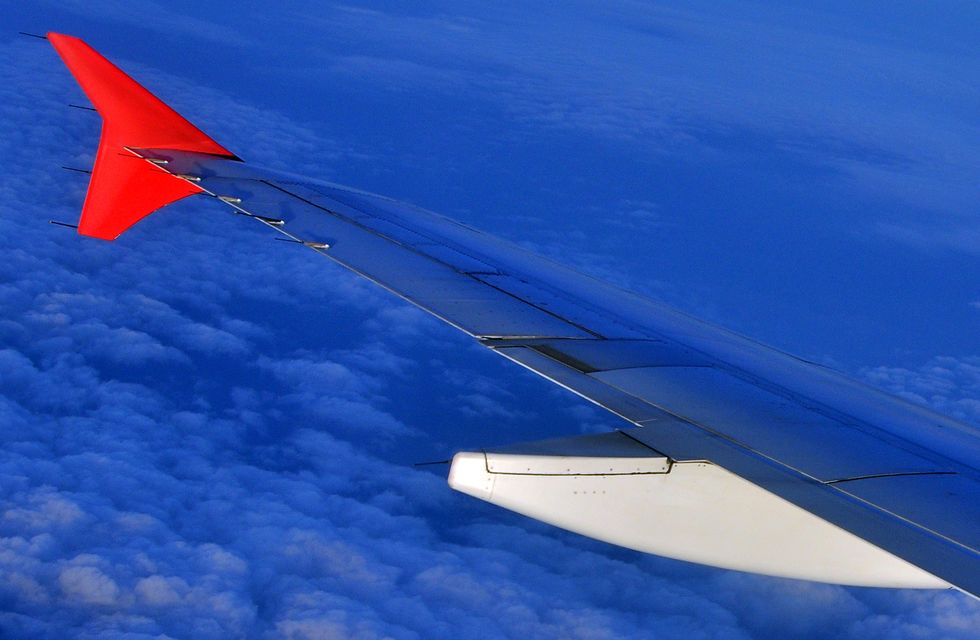 spread your wings and fly