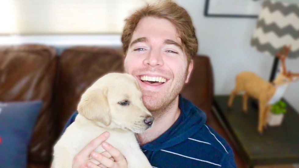 The Phases Of Your Weekend, As Told By Shane Dawson