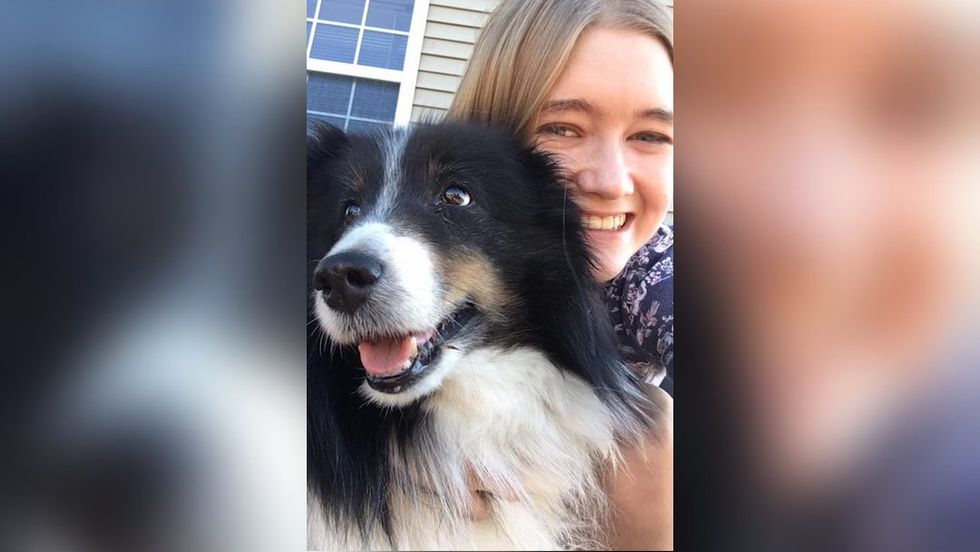 11 Signs You're Not The Crazy Cat Lady, You're The Crazy DOG Lady